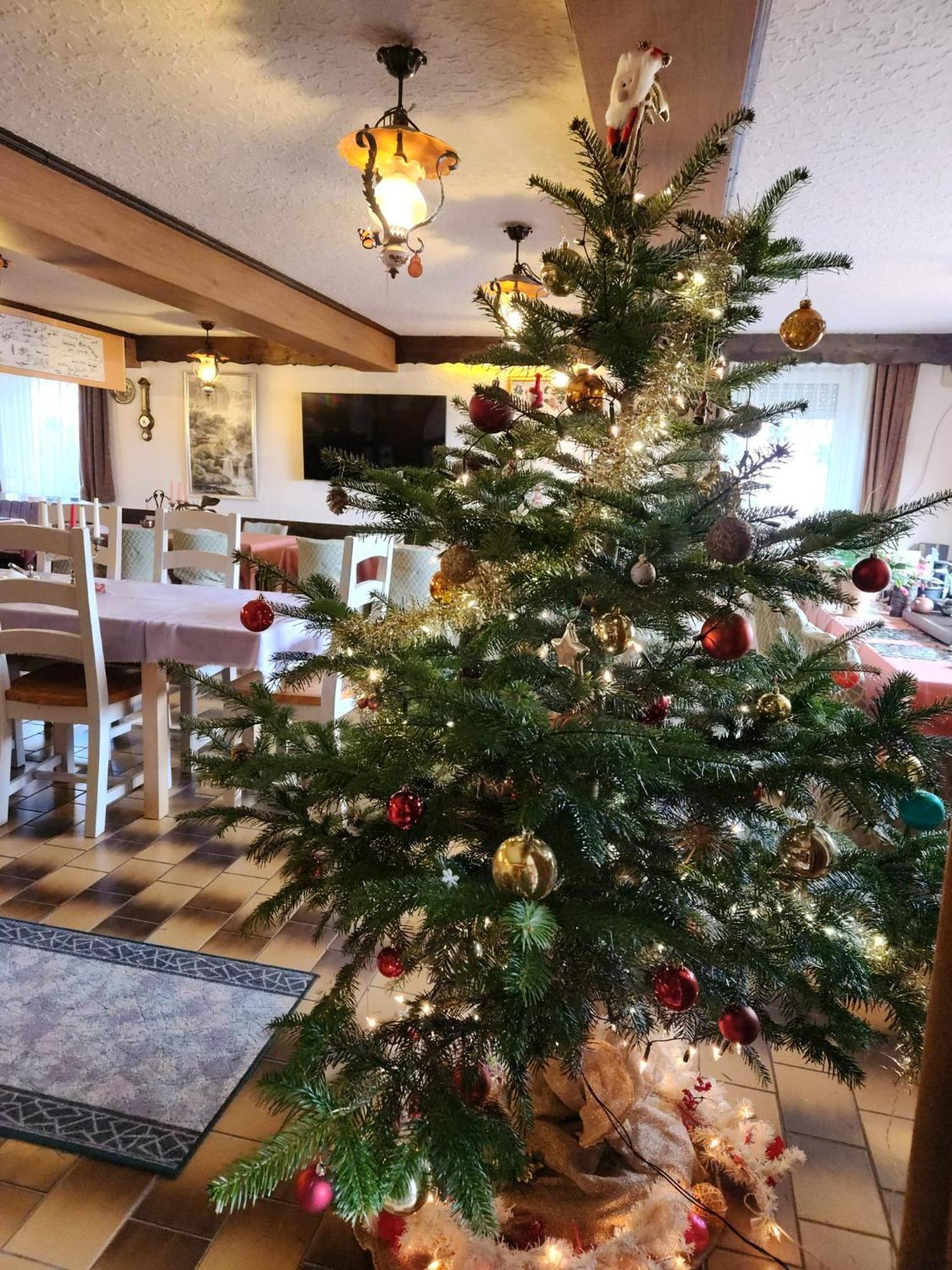 Gasthaus Hochwald Hattgenstein エクステリア 写真